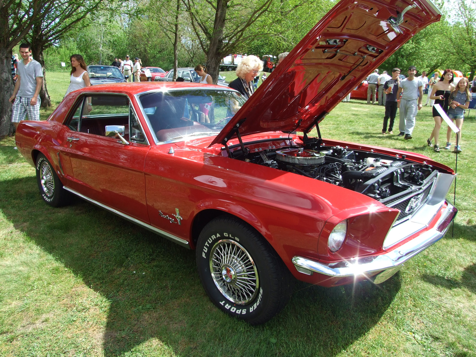 Ford Mustang 1b