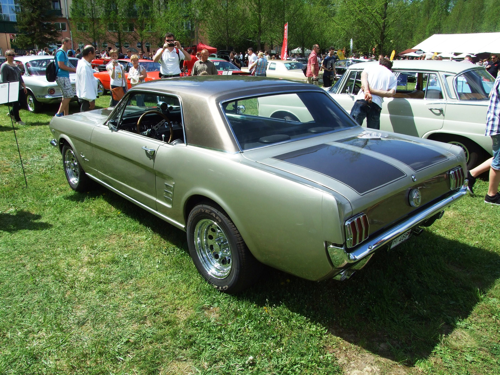 Ford Mustang 2b