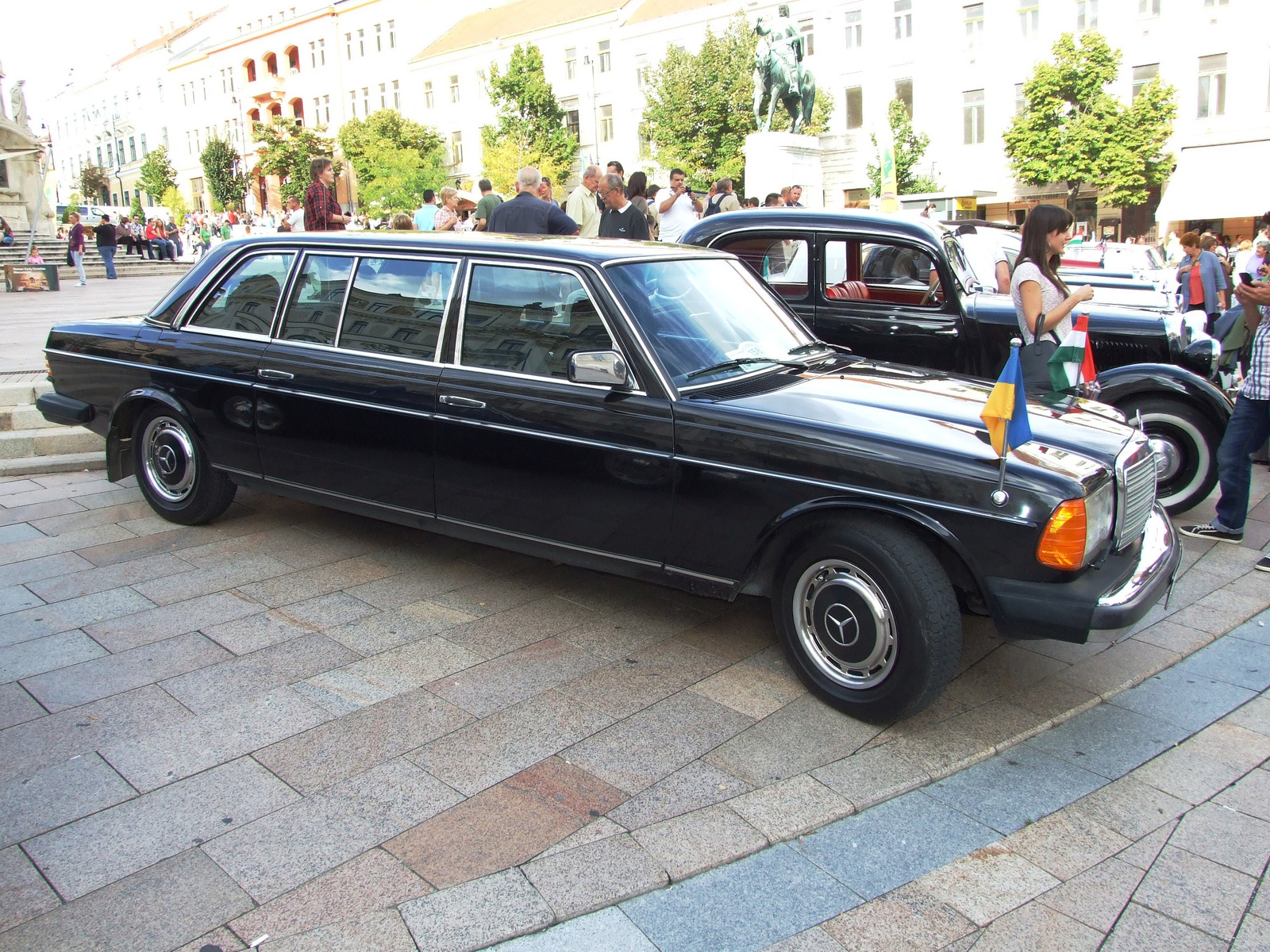 Mercedes W123 b