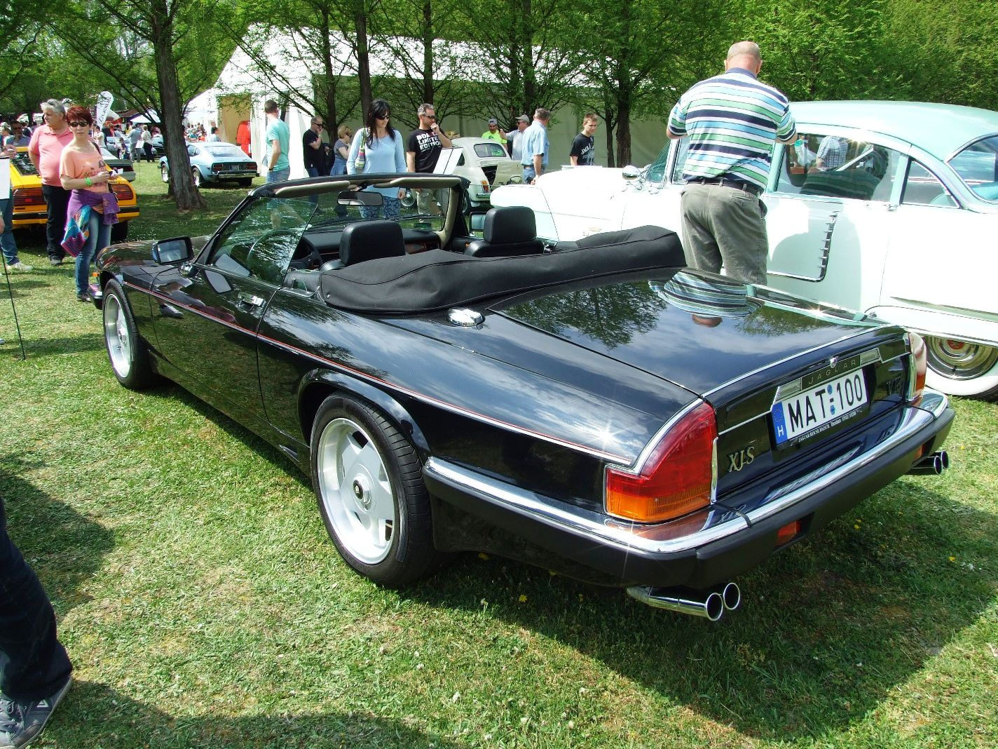 Jaguar XJS a