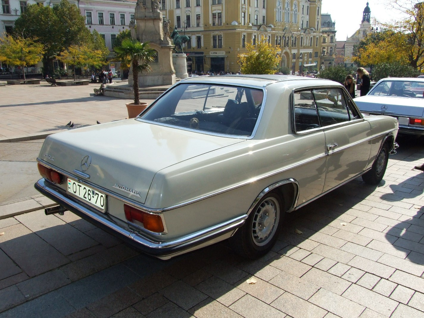 Mercedes 250Caut c