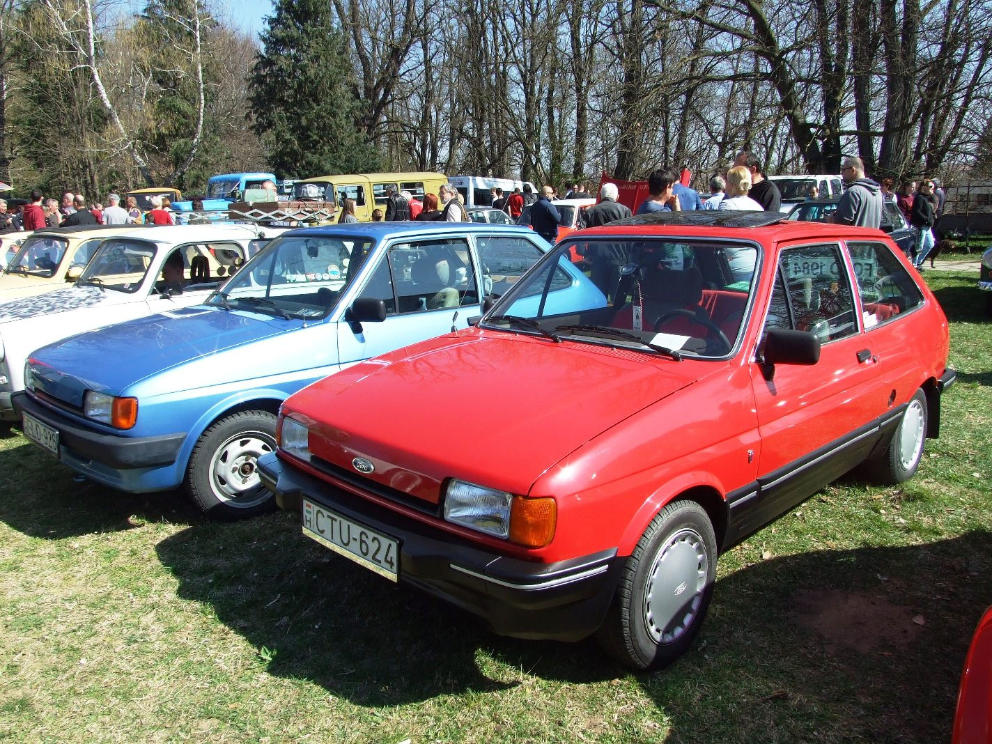 Ford Fiesta 3a