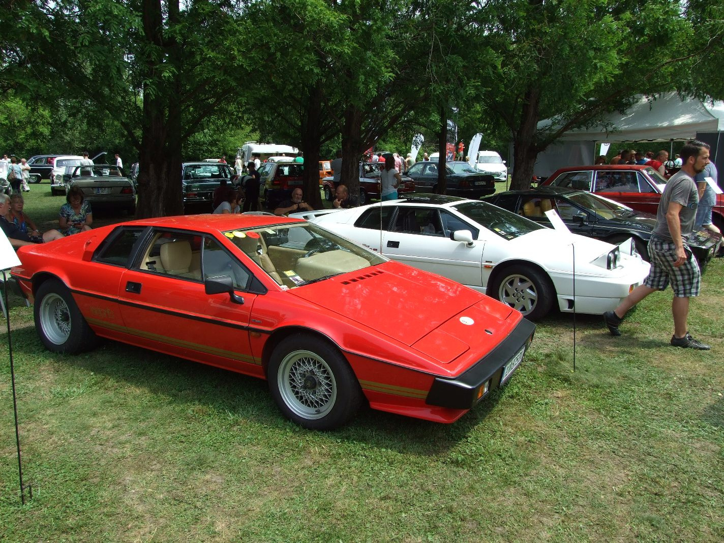 Lotus Esprit b