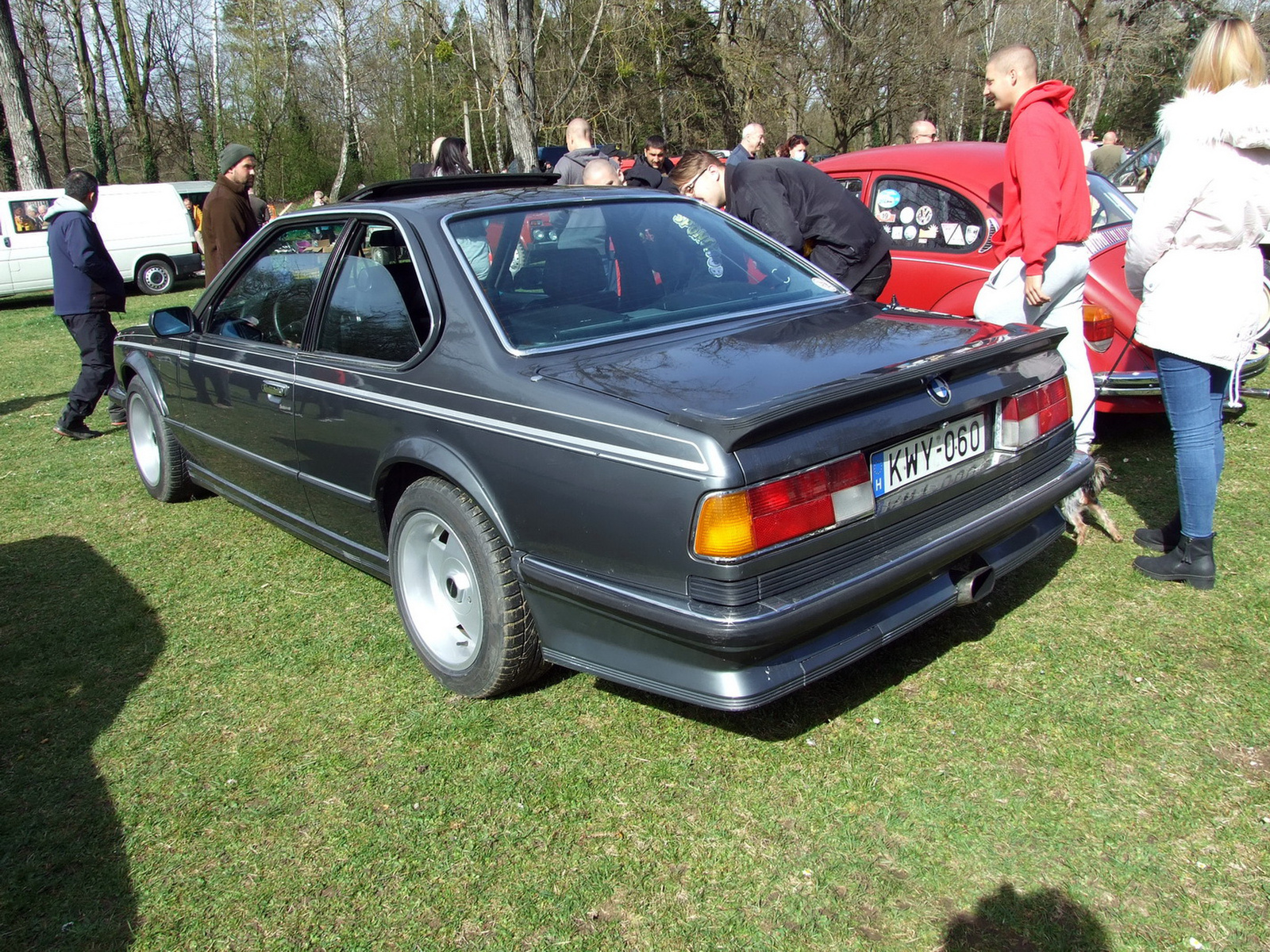 BMW 6 c