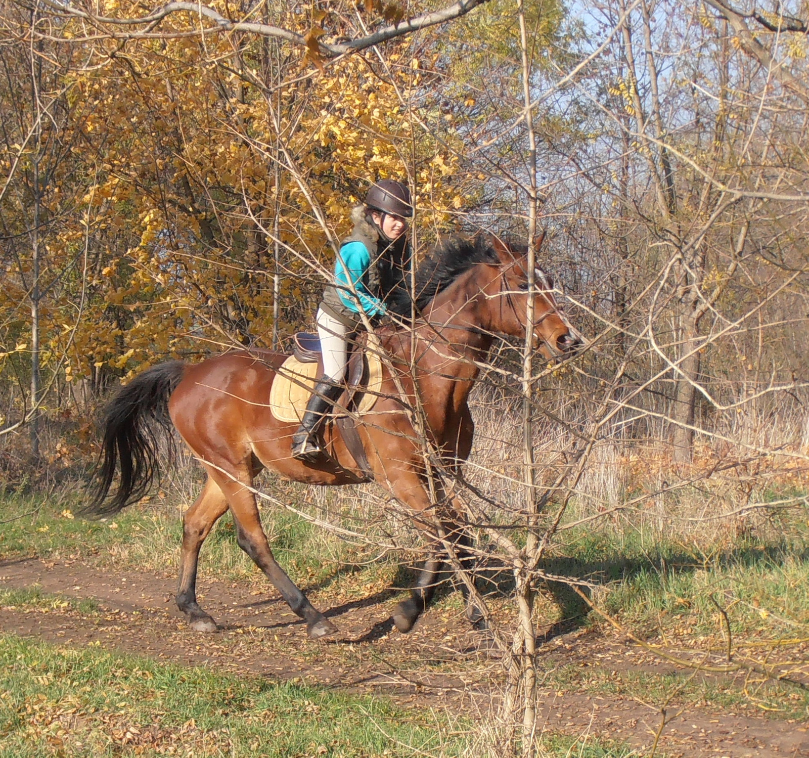 titánd20121111