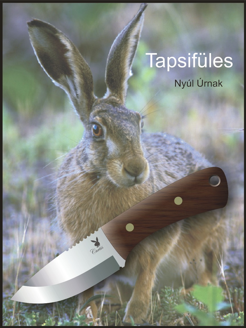 Tapsifüles