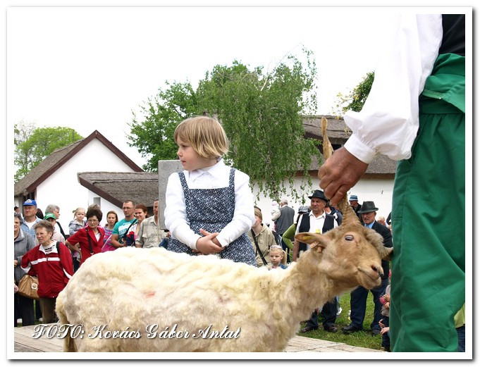 Hagyományőrző nap