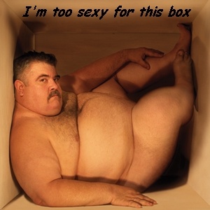 im too sexy for this box