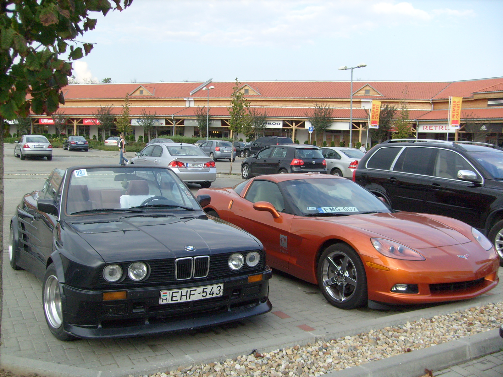 Bmw & Corvette