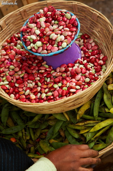 Freshly cleaned beans - Tichonta, Mexico, 2007