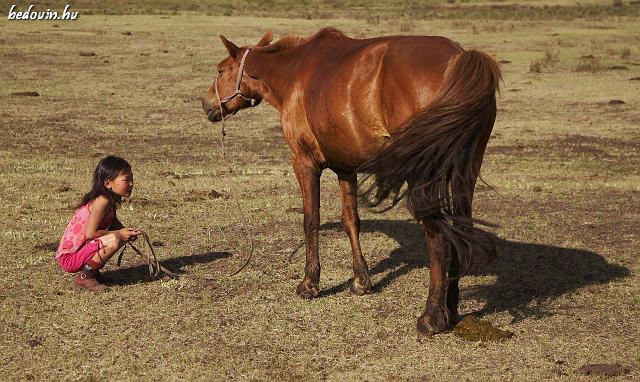 My best friend - Mongolia, 2006