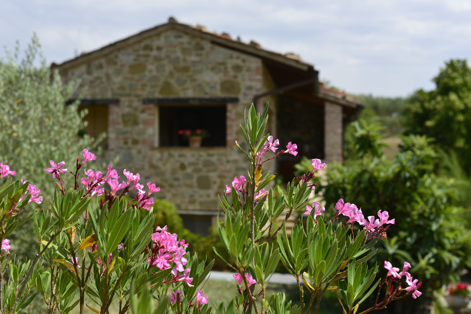 Casa Fontana 2013 (89)