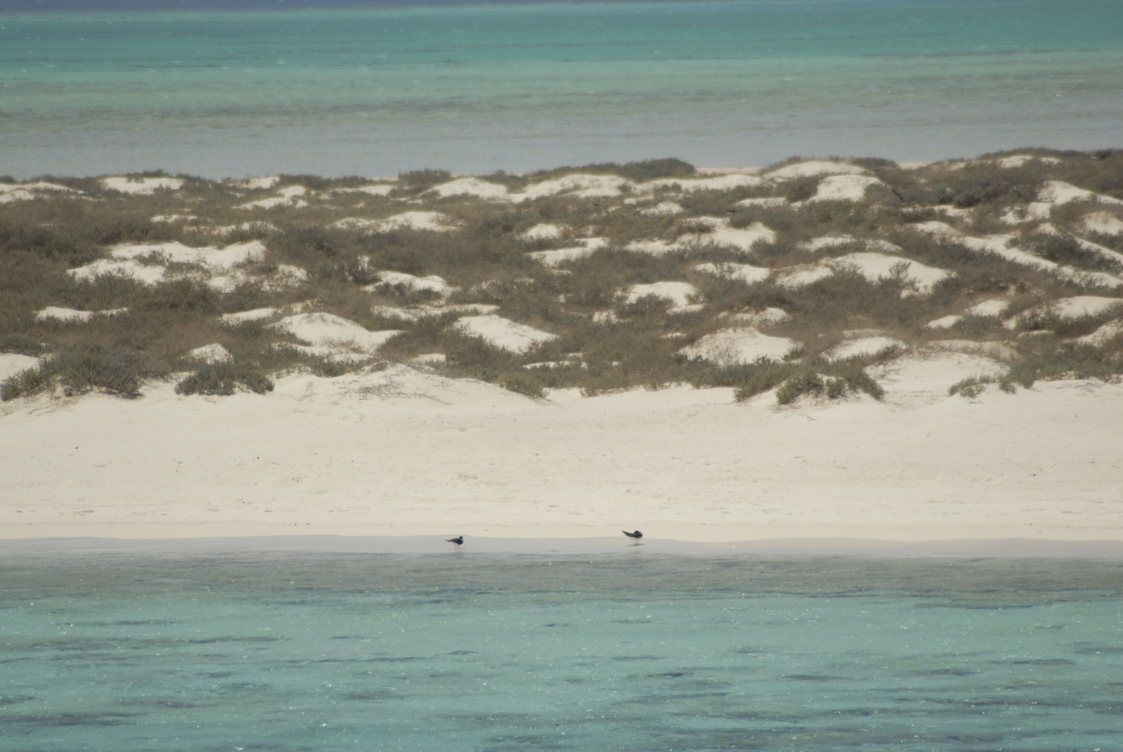 Marsa Alam (178)