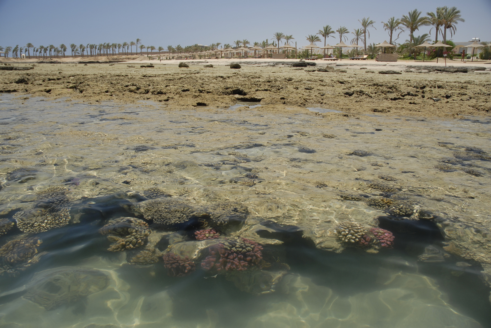 Marsa Alam (322)