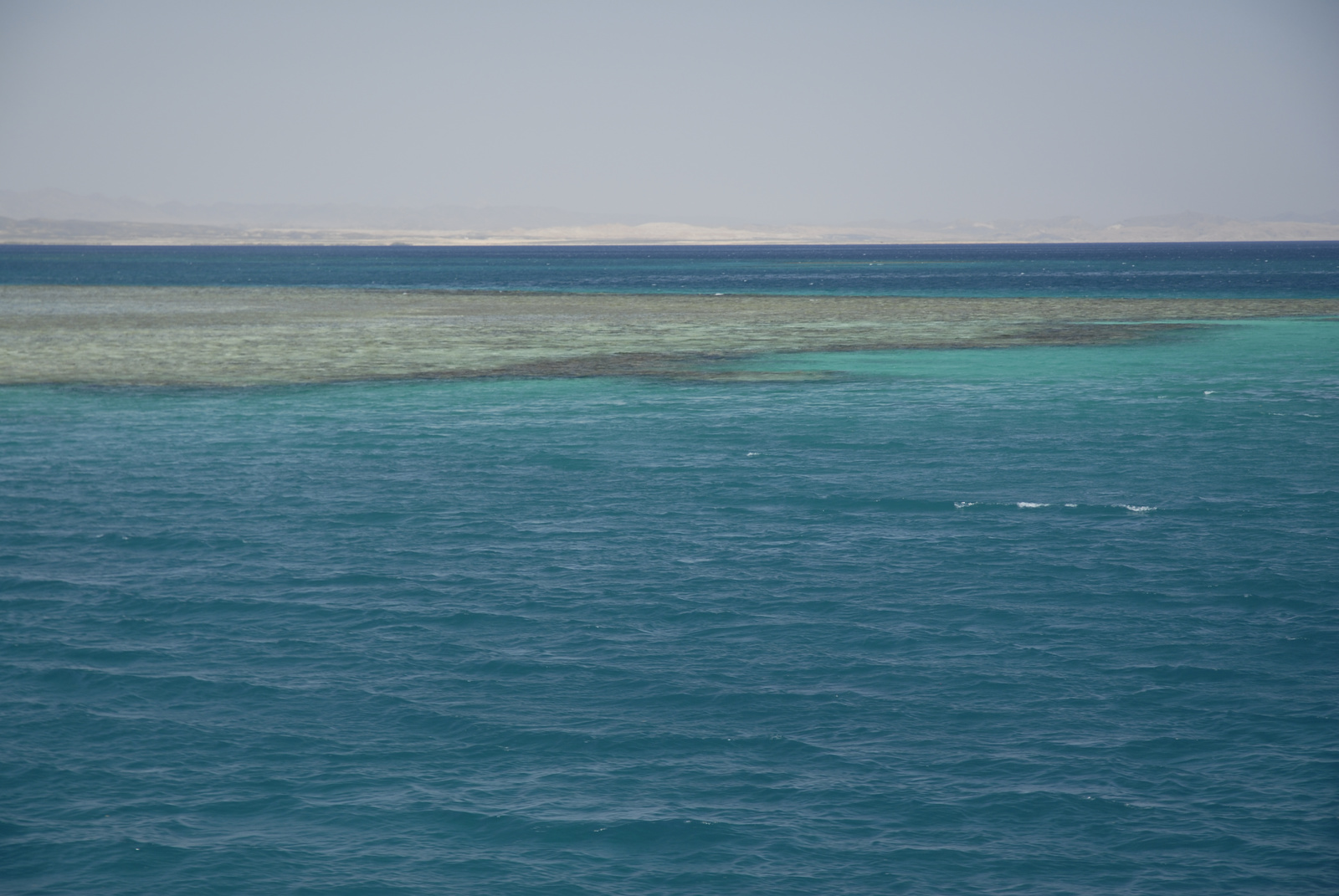 Marsa Alam (55)