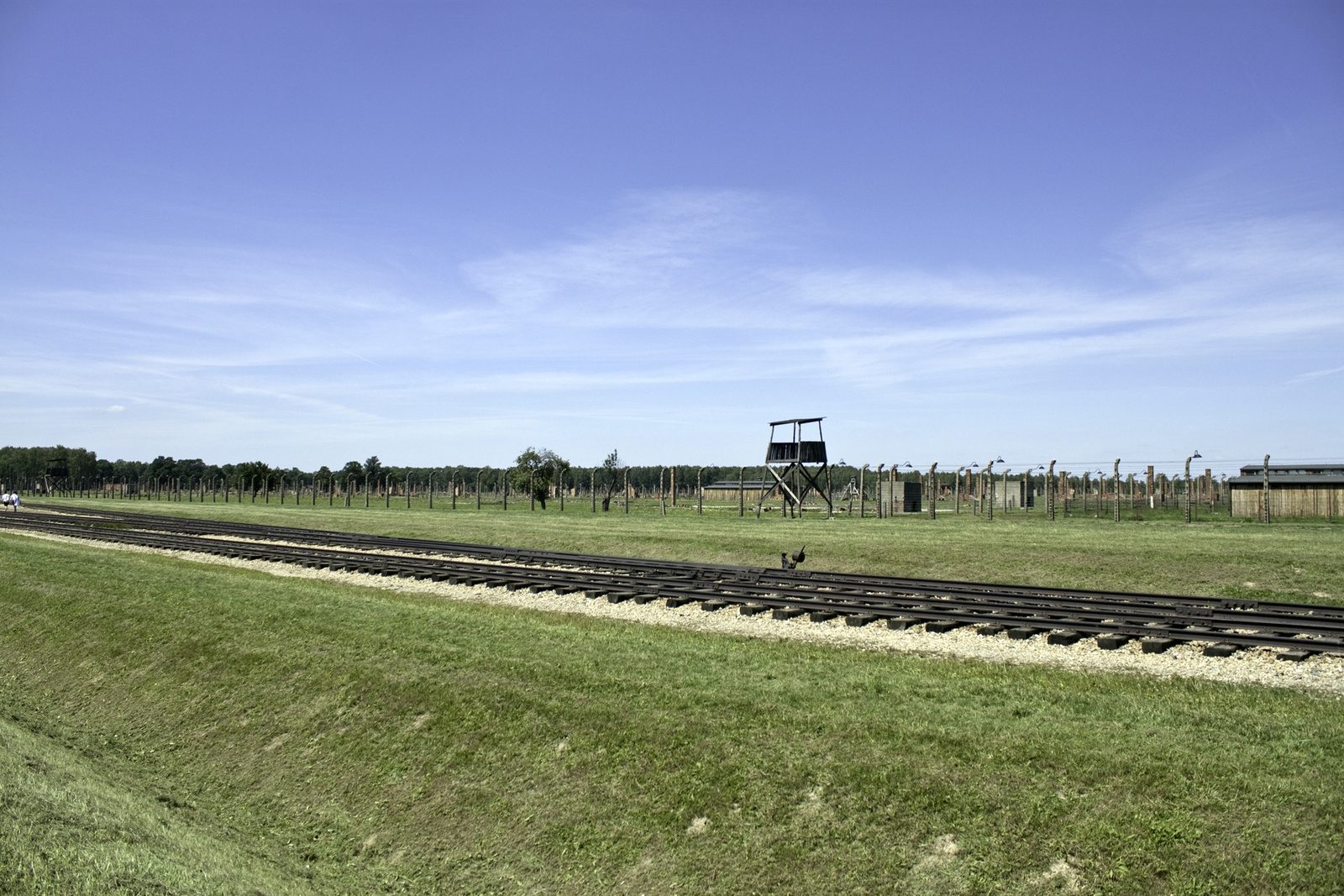 Birkenau 9890