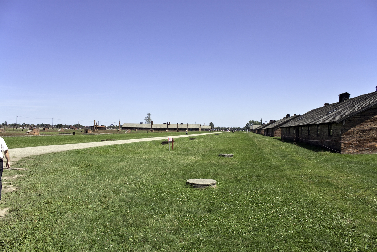 Birkenau 9925