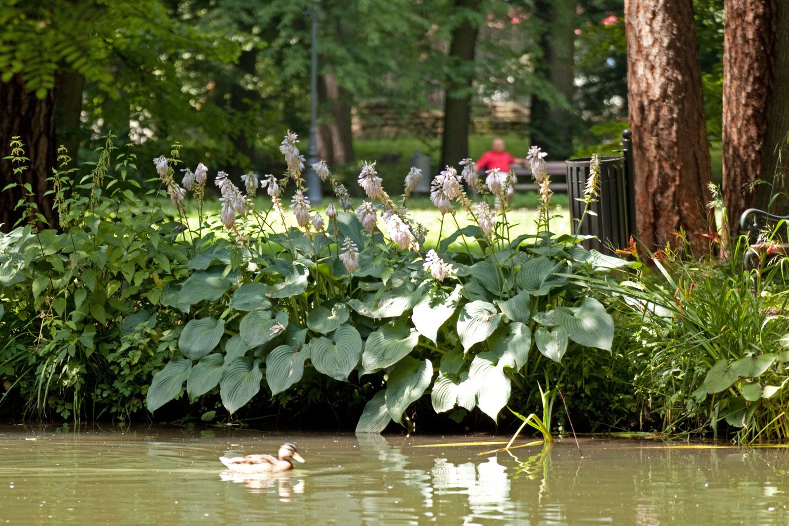 Żywiec-i kastélypark 15940