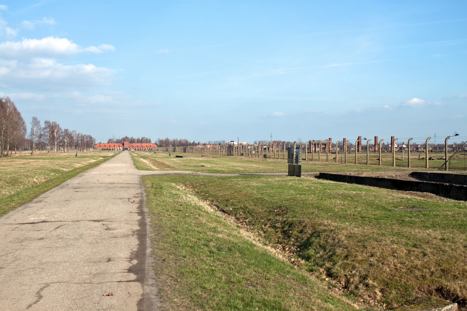 Birkenau 15378