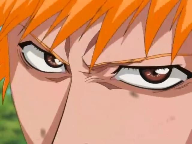 bleach114-41