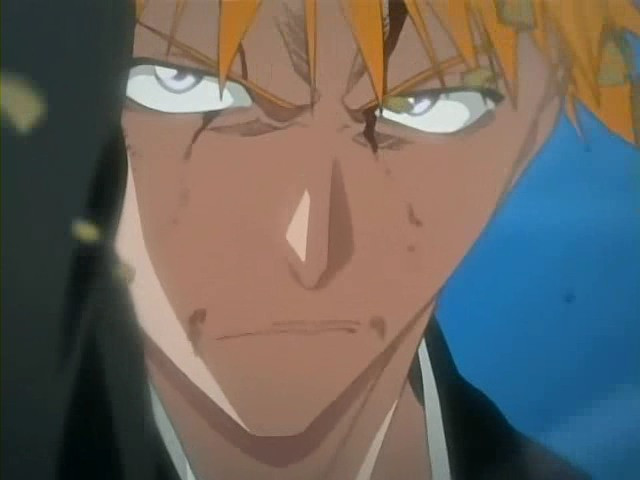 bleach ichigo0857