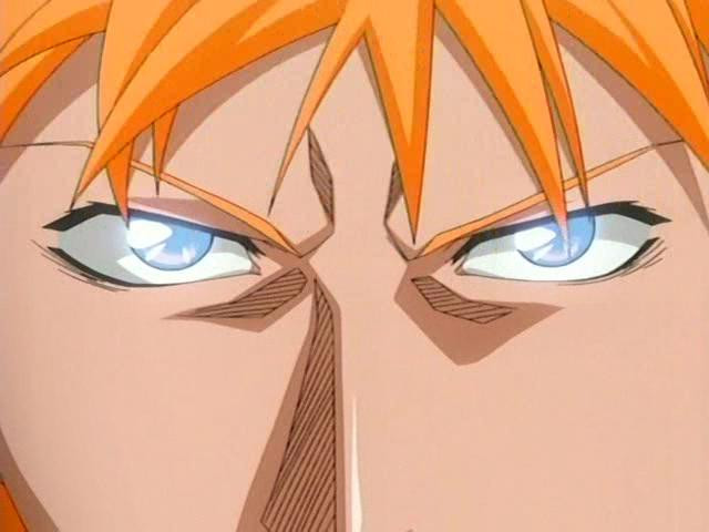 bleach ichigo1301