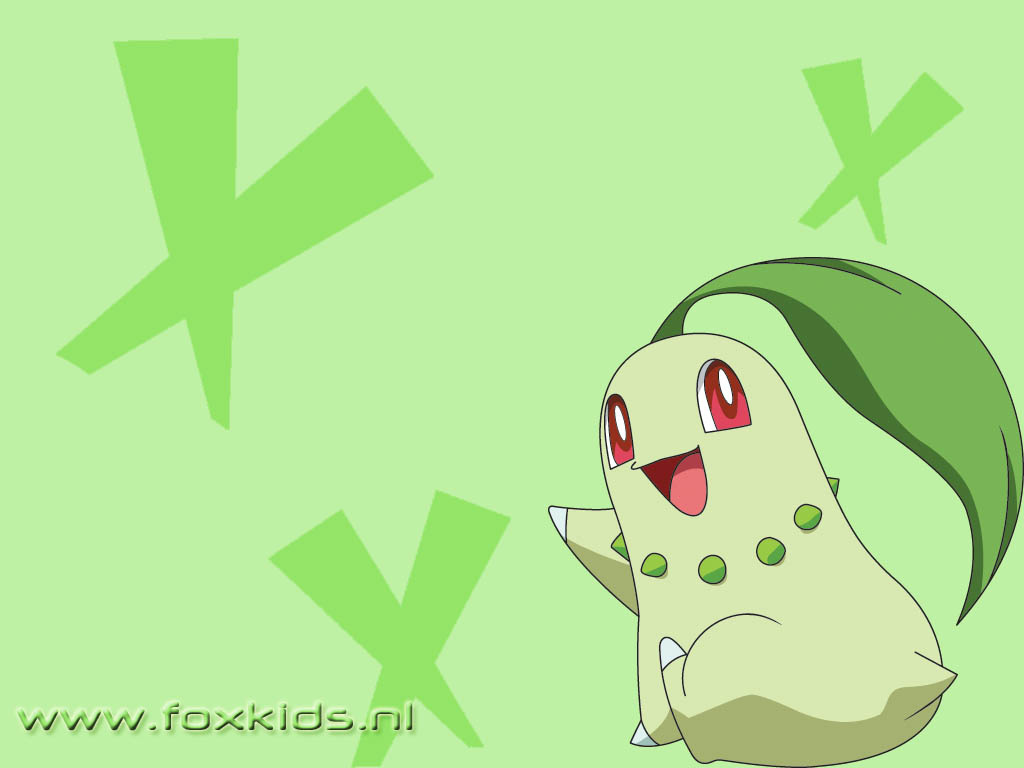 chikorita