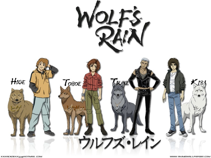 wolfsrain 6 800