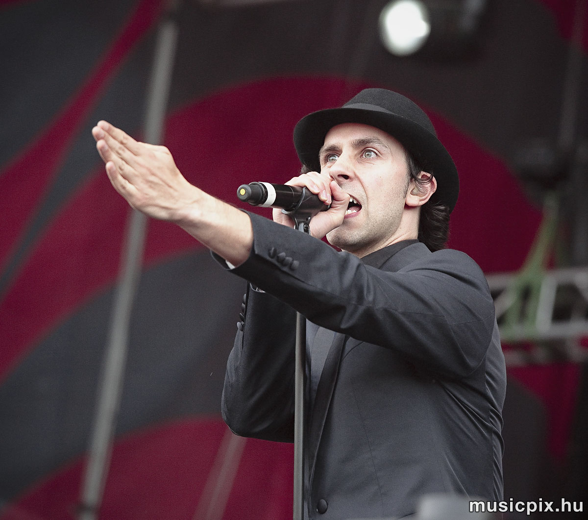 Maximo Park