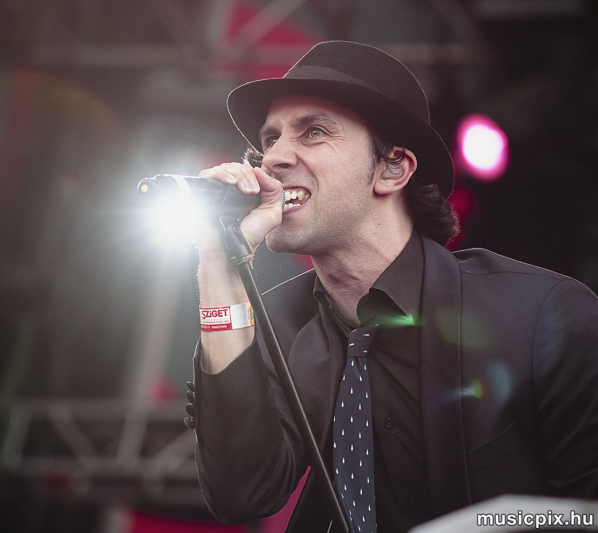 Maximo Park