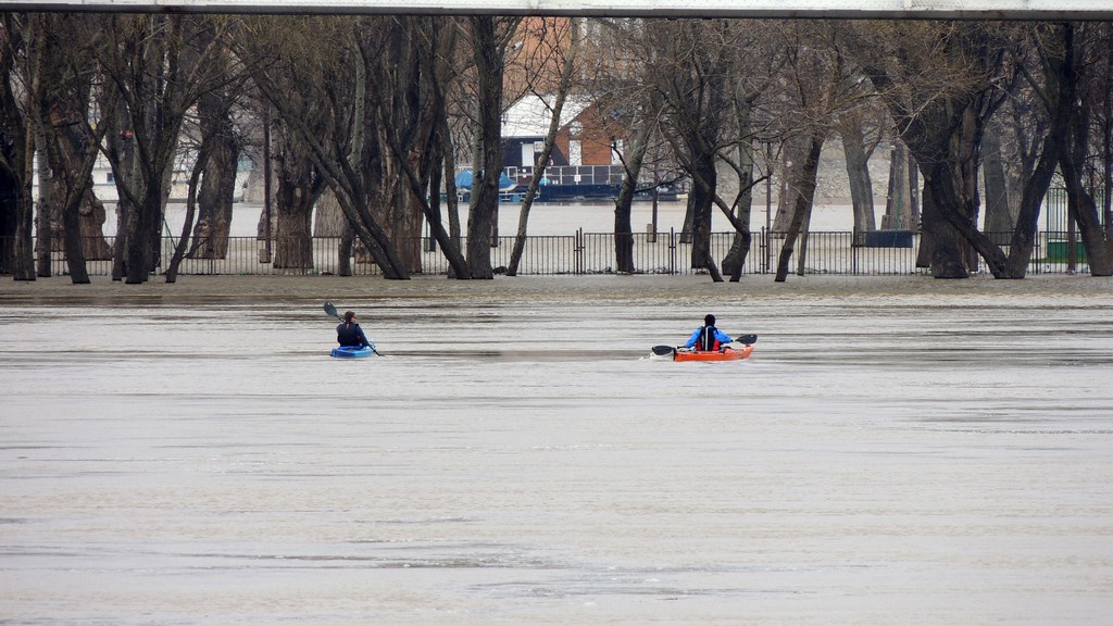 Kajakosok 13 04 07 Tisza0013