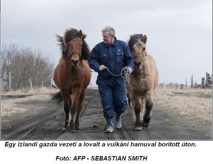 Izland  vulkáni hamuval borított úton