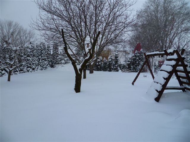 winter201202 003