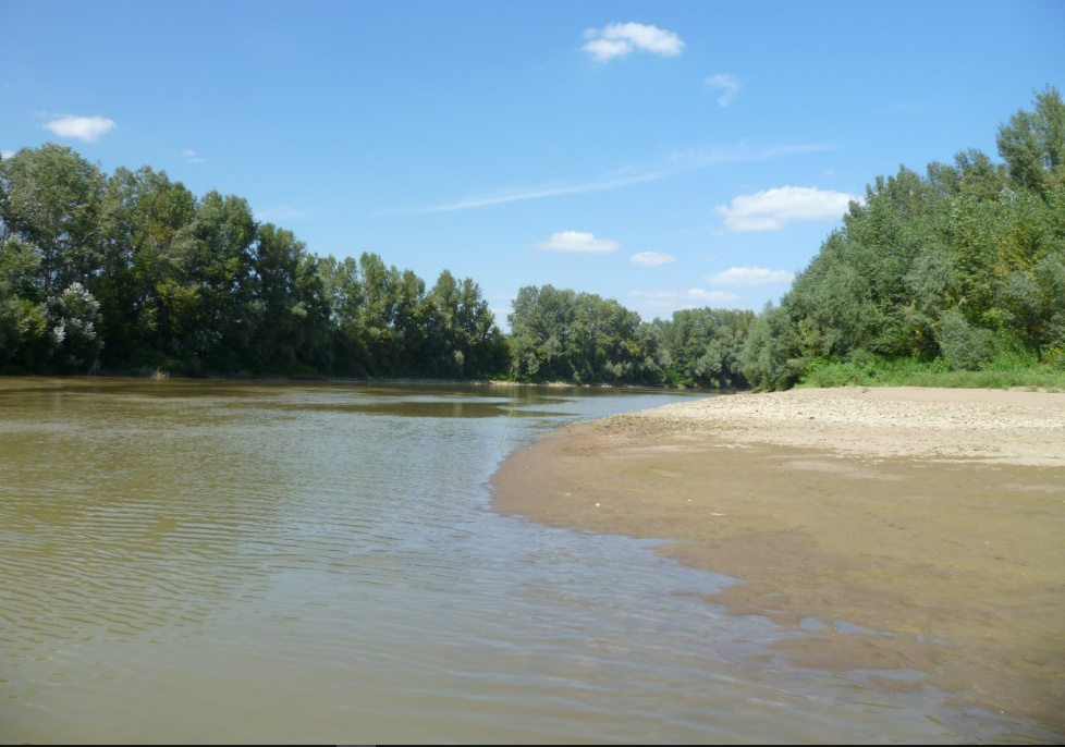 Tisza09.PNG