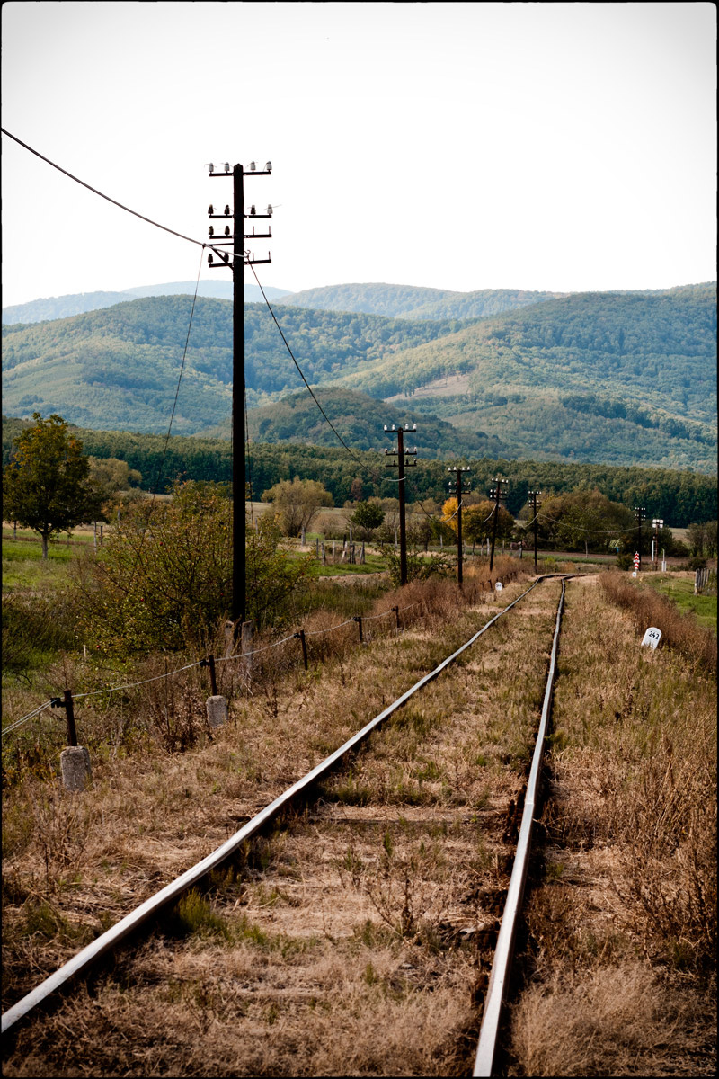 Börzsönyi Indás kirándulás, 2012. 09. 29.