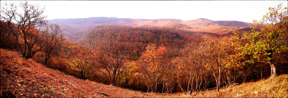 Indafotó túra, 2013. Pilis - Panoráma