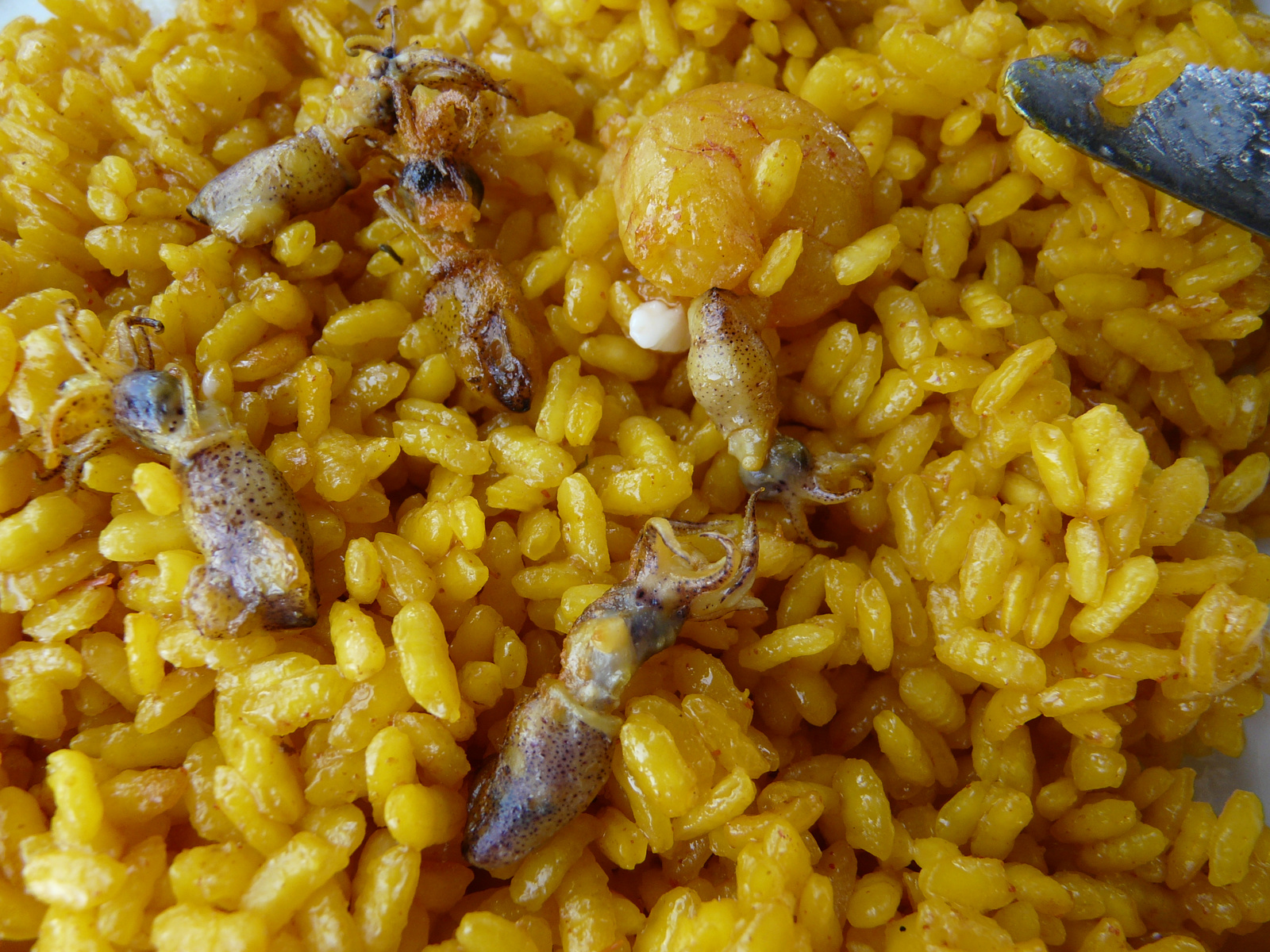 Paella de Valencia