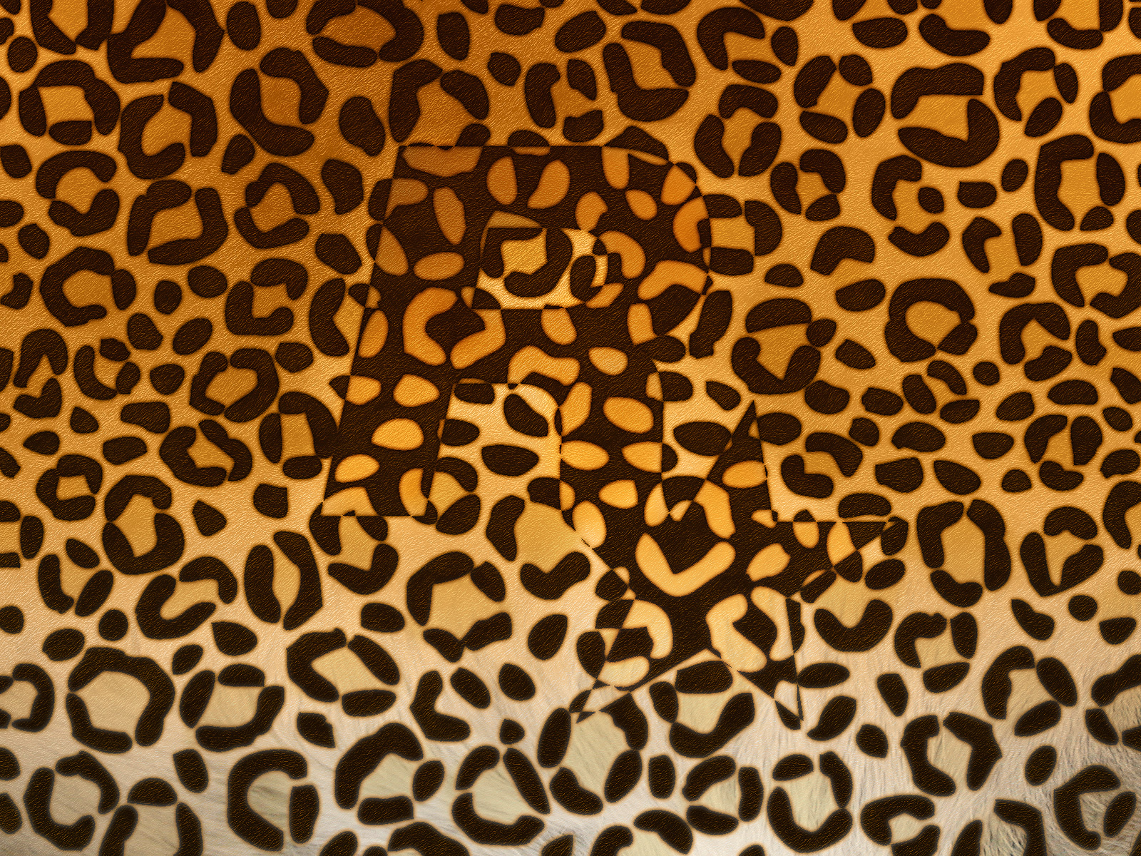 wildanimalhide leopard 1600x1200