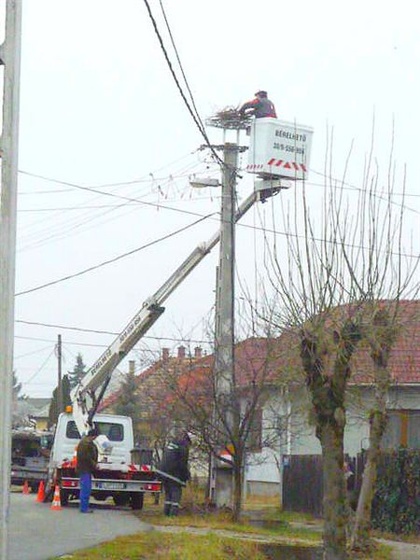 Karácsonyi ajándék a távollétükben.