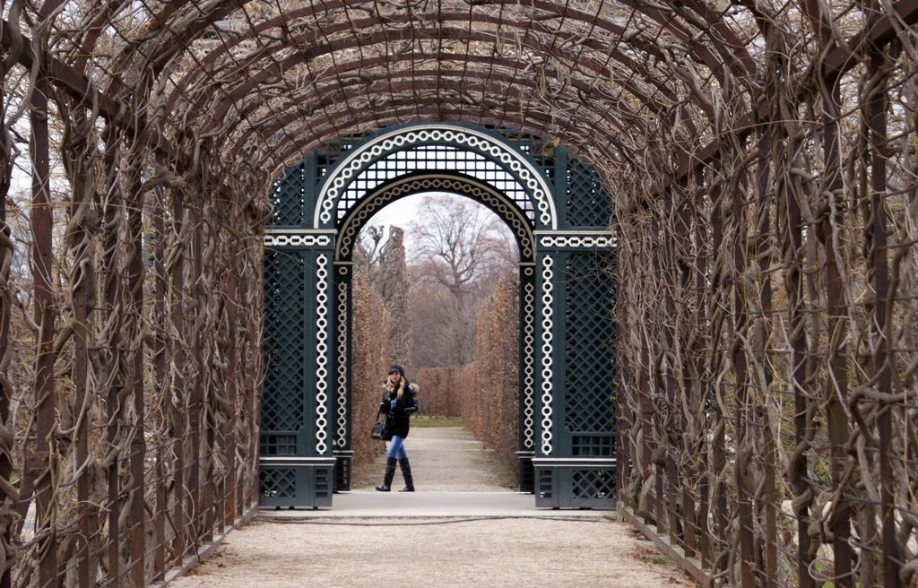 Schönbrunn - rózsalugas télen