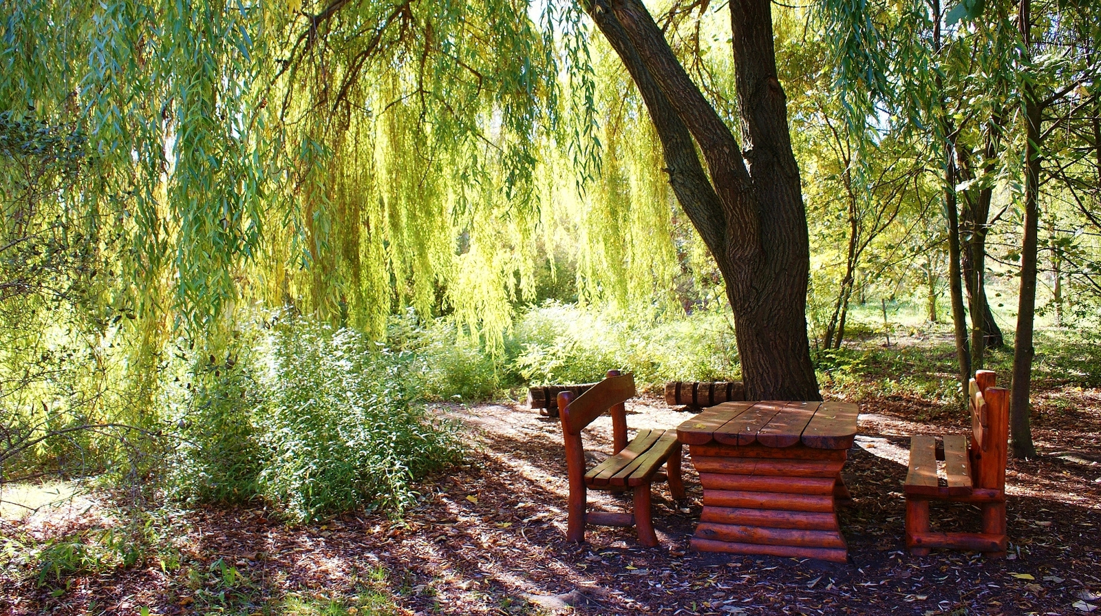 Kecskeméti Arborétum 2012