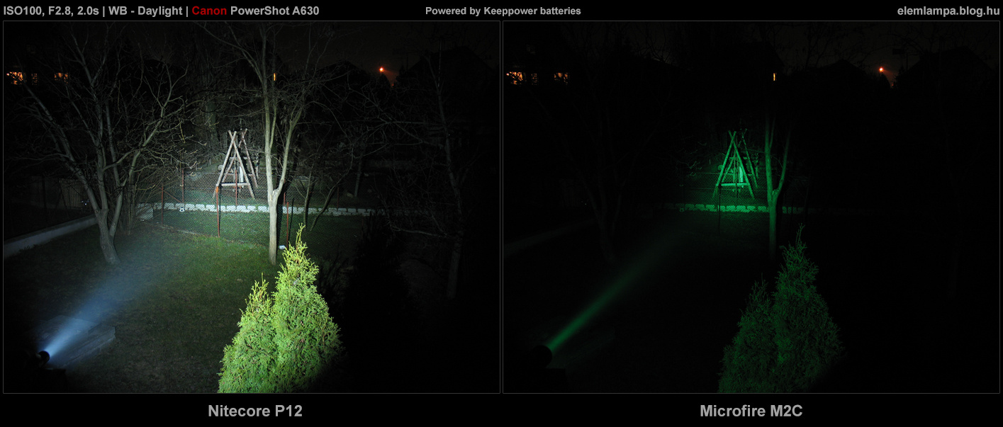 P12 vs Microfire M2Cg