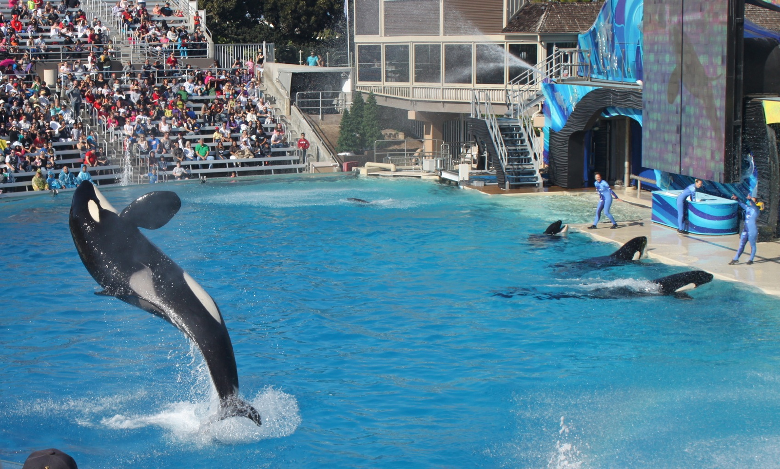 seaworld3