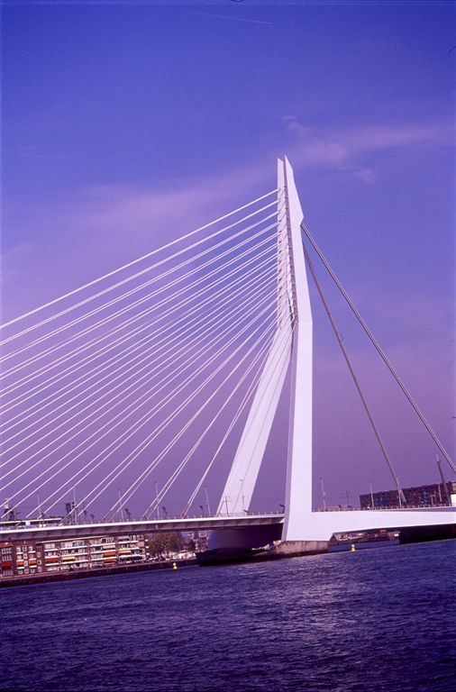 Rotterdam 23