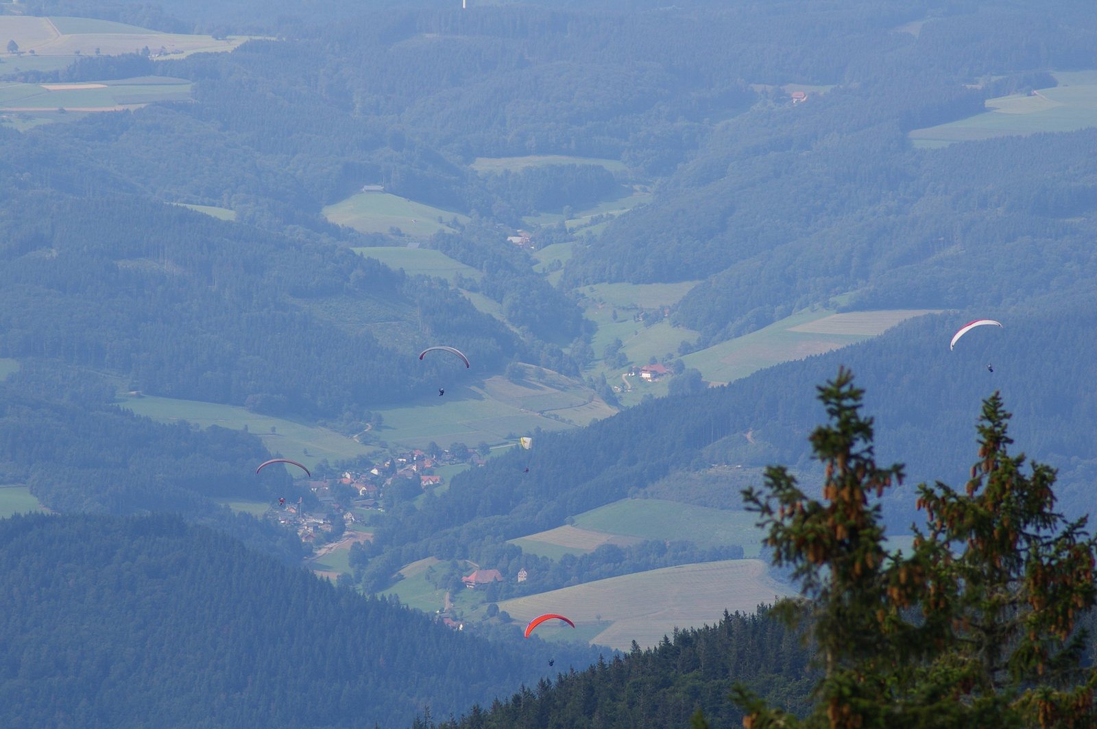 Schwarzwald