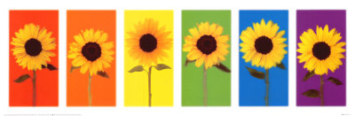 ARV-022~Sunflower-Rainbow-Posters