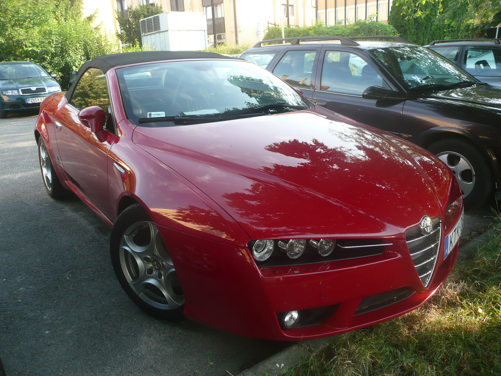 alfa spider