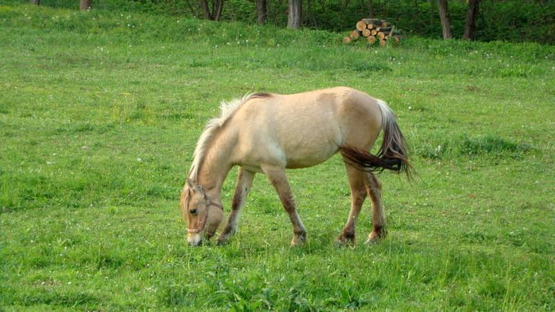 fotók 2009.04.24. 119