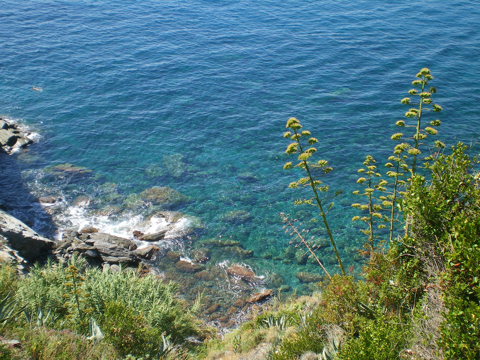 Cinque Terre