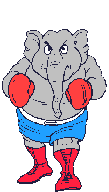 elephants-34